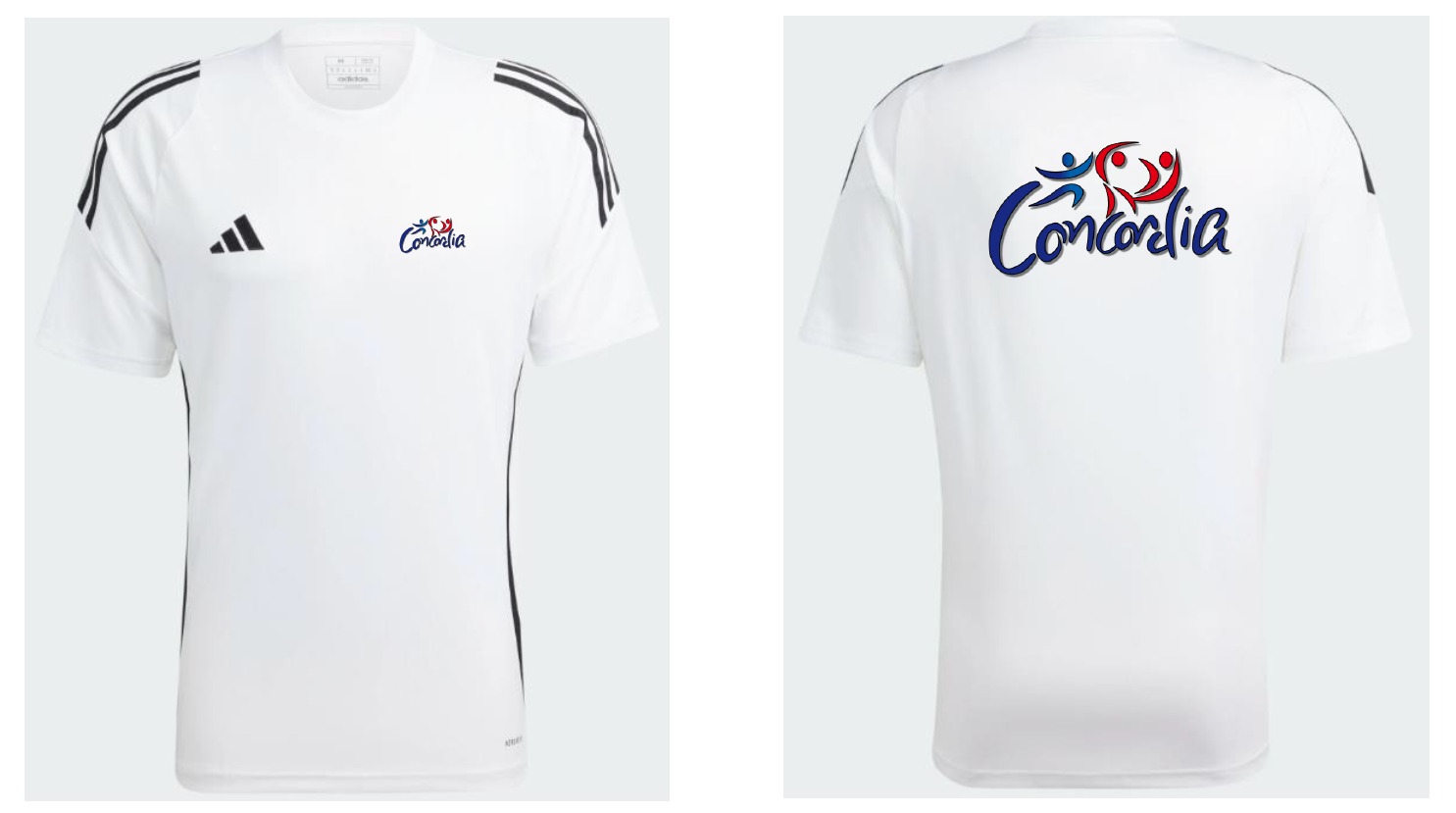 25-26 - Tenue T-Shirt Gym Concordia - Adulte