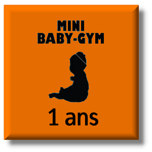 Mini-BabyGym (1 An)
